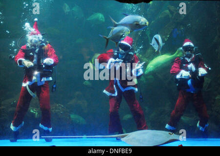 Jakarta, Indonésie. Dec 25, 2013. Les plongeurs portant des costumes de Père Noël à effectuer un seaworld à Jakarta, Indonésie, 25 décembre 2013. Sanovri Crédit : Veri/Xinhua/Alamy Live News Banque D'Images