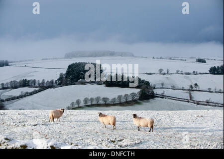 La gamme Epynt, Cambrian Mountains, Powys, au Royaume-Uni. Le 25 décembre 2013. Les personnes vivant sur des terres en Pays de Galles s'est réveillé pour un Noël blanc ce matin. Credit : Graham M. Lawrence/Alamy Live News. Banque D'Images
