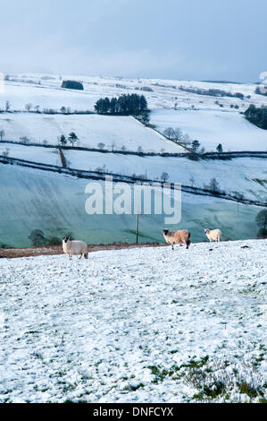 La gamme Epynt, Cambrian Mountains, Powys, au Royaume-Uni. Le 25 décembre 2013. Les personnes vivant sur des terres en Pays de Galles s'est réveillé pour un Noël blanc ce matin. Credit : Graham M. Lawrence/Alamy Live News. Banque D'Images