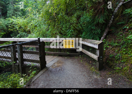 Panneau sur le pont au-dessus de la rivière Englishman à Englishman's Falls près de Parksville sur l'île de Vancouver, Colombie-Britannique. Banque D'Images