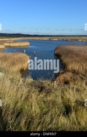 Réserve Naturelle des Marais de Farlington près de Portsmouth, Hampshire Banque D'Images