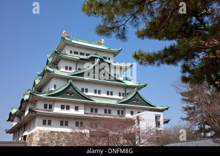 Le Château d'Osaka, Nagoya, Aichi Prefecture, Japan Banque D'Images