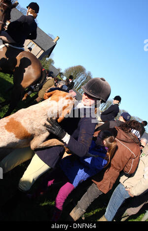 Priddy, Somerset, UK Boxing Day 2013. Jeune accueille les chiens de chasse de la chasse aux agriculteurs de Mendip, étant donné qu'ils recueillent sur Priddy vert avant de partir pour le traditionnel Boxing Day hunt réunion. Banque D'Images