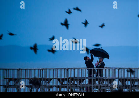 Pays de Galles Aberystwyth UK, Boxing Day, 26 décembre 2013 deux femmes, mère et fille, s'abriter sous un parapluie qu'ils observent l'affichage nocturne d'étourneaux sur Aberystwyth jetée à la fin de la Boxe Day 2013. Au crépuscule chaque jour entre octobre et mars une murmuration de dizaines de milliers des oiseaux mouches à se percher sur les jambes de fer de fonte de la Victorian station pier. Credit : Keith morris/Alamy Live News Banque D'Images