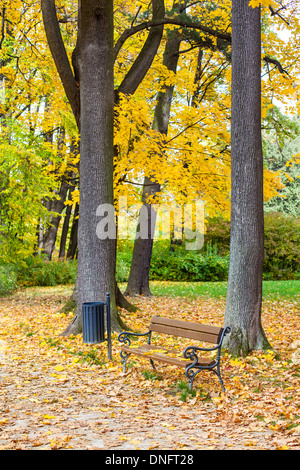 Banc de parc en automne, jonchée de feuilles Banque D'Images