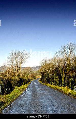 Route de campagne étroite bordée d', Burt, comté de Donegal, Irlande. Banque D'Images