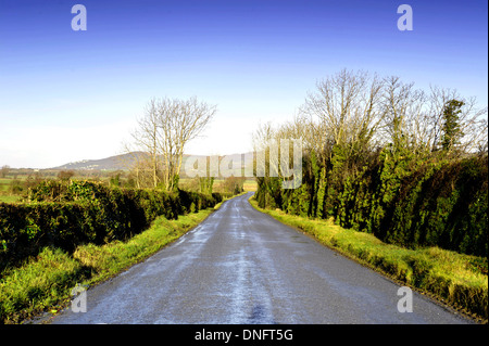 Route de campagne étroite bordée d', Burt, comté de Donegal, Irlande. Banque D'Images