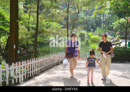 Hong Kong Chine,Hong Kong,Asie,chinois,Oriental,île,Central,Hong Kong Park,paysage,arbres,étang,asiatique adulte,adultes,femme femme femme,mère,grand-mère,g Banque D'Images