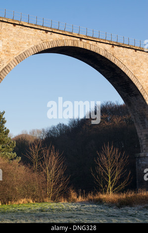 Arche du viaduc Victoria Victorian pont ferroviaire sur la rivière Wear à Washington, Angleterre du Nord-Est, Royaume-Uni Banque D'Images