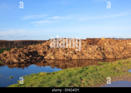 Paysage d'hiver anglais avec un tas de fumier par une haie d'herbe et de ciel bleu reflété dans les flaques Banque D'Images