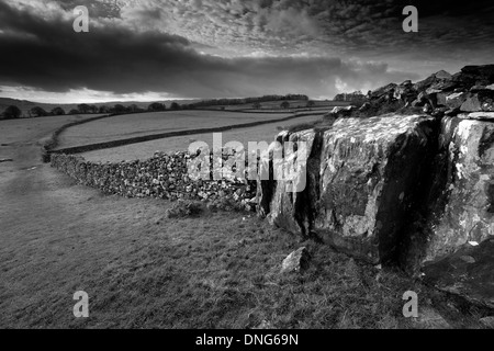 Norber Dale près du village de Austwick, Yorkshire Dales National Park, England, UK Banque D'Images