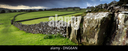 Norber Dale près du village de Austwick, Yorkshire Dales National Park, England, UK Banque D'Images