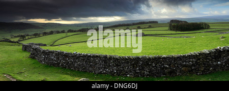 Norber Dale près du village de Austwick, Yorkshire Dales National Park, England, UK Banque D'Images