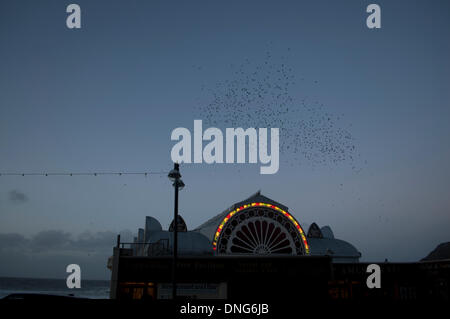 Aberystwyth, Pays de Galles, Royaume-Uni. 27 décembre 2013. Les étourneaux au piège sous Aberystwyth Pier. Credit : Barry Watkins/Alamy Live News Banque D'Images