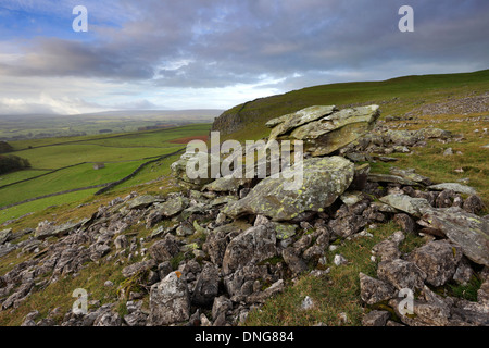 Norber Dale près du village de Austwick, Yorkshire Dales National Park, England, UK Banque D'Images