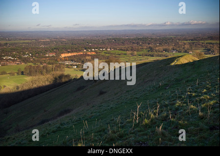 La lumière du soleil bas sur l'Kithurst Hill sur les South Downs près de Storrington, West Sussex, UK Banque D'Images