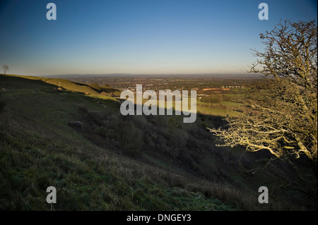 La lumière du soleil bas sur l'Kithurst Hill sur les South Downs près de Storrington, West Sussex, UK Banque D'Images