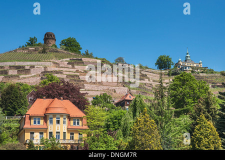 Tour Bismarck, vignobles, Spitz House et une maison de campagne, près de Dresden Radebeul, Saxe, Allemagne, Europe Banque D'Images