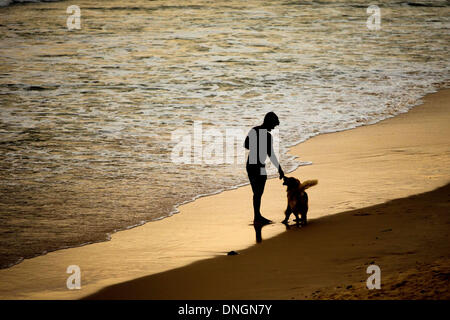 Rio de Janeiro, Brésil. Dec 29, 2013. Un homme joue avec son chien sur une plage de Rio de Janeiro, Brésil, le 28 décembre 2013. © Xu Zijian/Xinhua/Alamy Live News Banque D'Images