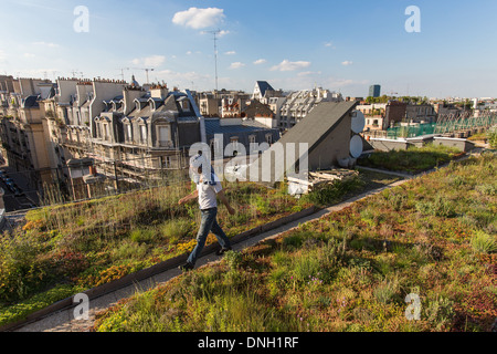 NICOLAS BEL, ingénieur, TOIT JARDIN EXPÉRIENCE À L'ÉCOLE AGROPARISTECH, 5ème arrondissement, Paris (75), FRANCE Banque D'Images