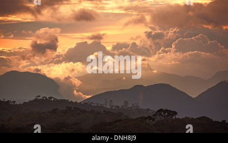 Adam's Peak de plateau Horton au coucher du soleil. Le Sri Lanka. Banque D'Images