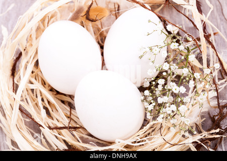 Trois oeufs de Pâques non décoré blanc ordinaire nichée dans un nid de paille avec une délicate de pulvérisation dainty fleurs souffle Babys pour célébrer le printemps et les vacances de Pâques Banque D'Images