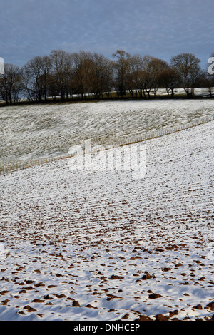 Domaine couvert de neige en hiver et Bodsham Benenden, North Downs, Ashford, Kent, Angleterre Banque D'Images