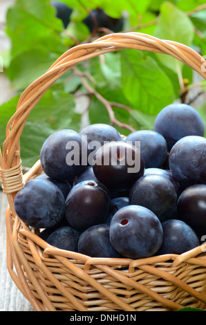 Les prunes mûres dans le panier sur la table en bois, vue en gros Banque D'Images