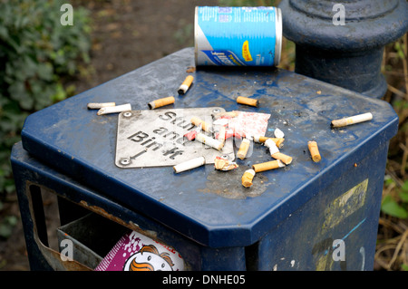 Maidstone, Kent, Angleterre, Royaume-Uni. Des cigarettes-substitués sur le dessus d'une bin Banque D'Images