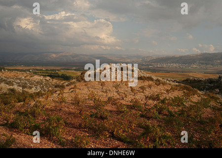 Château KEFRAYA, vignobles de la vallée de la Bekaa, au Liban, au Proche-orient Banque D'Images