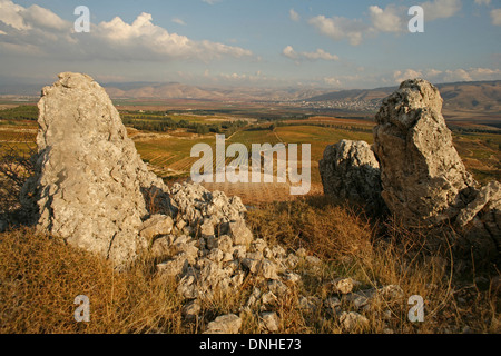 Château KEFRAYA, vignobles de la vallée de la Bekaa, LES MONTAGNES EN ARRIÈRE-PLAN SONT EN SYRIE, au Liban, au Proche-orient Banque D'Images