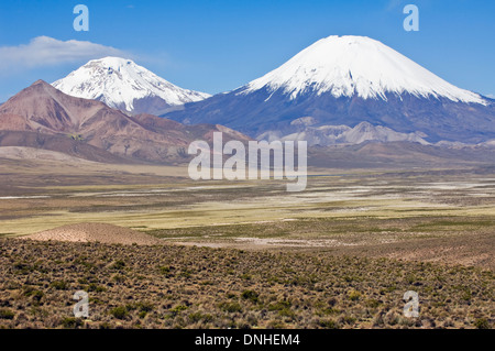 Les volcans Parinacota et Pomerape, Parc National Lauca, Chili Banque D'Images