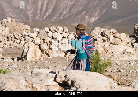 Herdswoman lama portant un chapeau melon aussi appelé Bombin, San Juan, Potosi, Bolivie Banque D'Images