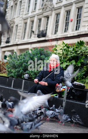 Woman feeding Pigeons .Nottingham Place du Marché ,UK. Banque D'Images