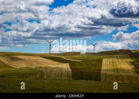 Éoliennes sur une colline, Vallata, Avellino Campania, Italie Banque D'Images