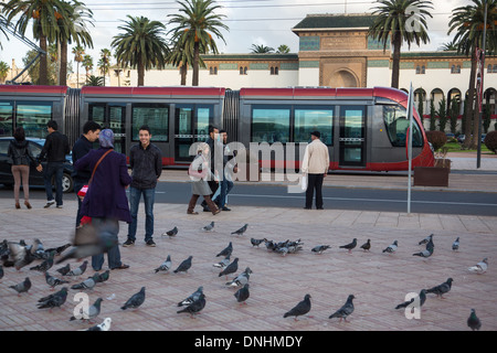 Nouveau tramway passant devant la Cour de comté, la place Mohammed V, Casablanca, Maroc, Afrique Banque D'Images