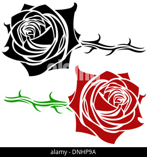 Illustration de roses isolated Banque D'Images