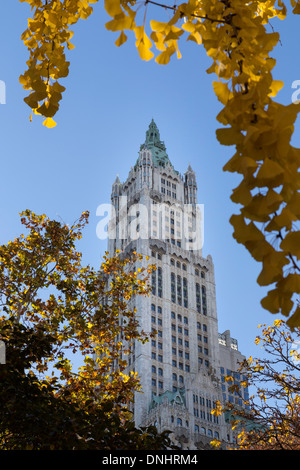 Vue sur le Woolworth Building par la chute des feuilles, NYC, USA Banque D'Images