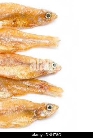 Petite friture de poissons. Banque D'Images