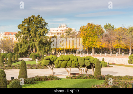 Les buissons taillés en nuage (parc du Retiro en topiaire), Madrid, Espagne Banque D'Images