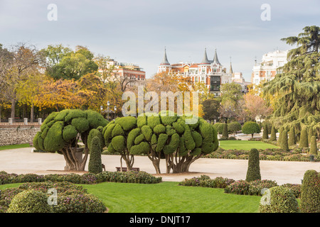 Avis de buissons taillés en nuage) en topiaire (parc du Retiro, Madrid, Espagne Banque D'Images
