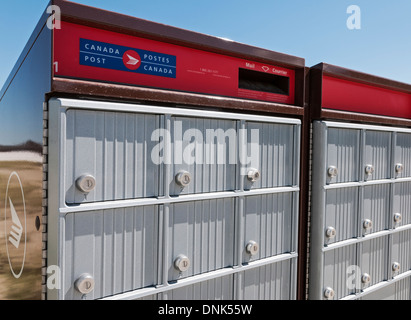 Une boîte aux lettres de Postes Canada super dans un nouveau développement résidentiel de banlieue, Calgary (Alberta). Banque D'Images