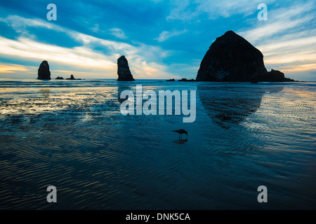 Haystack Rock & les aiguilles, Cannon Beach, Oregon, USA Banque D'Images