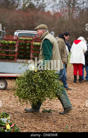 La vente aux enchères annuelle de GUI dans Tenbury, Shropshire. Banque D'Images