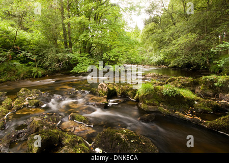 Afon Irfon. Banque D'Images