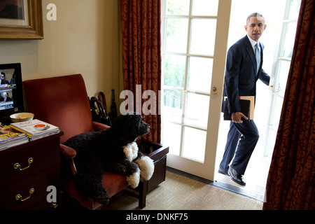 Bo le chien de la famille regarde le président américain Barack Obama entrez le bureau ovale extérieure à la Maison Blanche le 6 novembre 2013 à Washington, DC. Banque D'Images