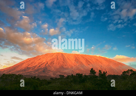 Le Mont Kilimanjaro en Tanzanie comme vu à partir de la première étape de l'Rongai route vers le sommet de cette majestueuse montagne. Banque D'Images