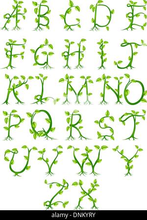 Un alphabet décoratif complet composé de lettres de plus en plus de plantes vertes Illustration de Vecteur