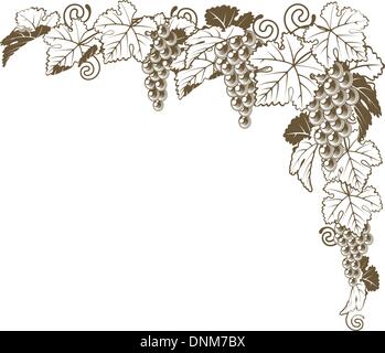 Une vigne d'ornement d'angle de la frontière de l'élément de conception des grappes de raisins et de feuilles de style vintage, étiquette de vin concept. Illustration de Vecteur