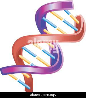 Une illustration d'une icône en double hélice de l'ADN brillant Illustration de Vecteur